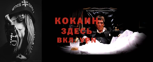 МДПВ Кукмор