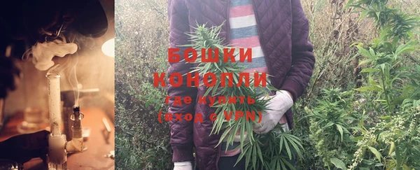 прущие крисы Лабытнанги