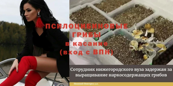 герыч Кулебаки
