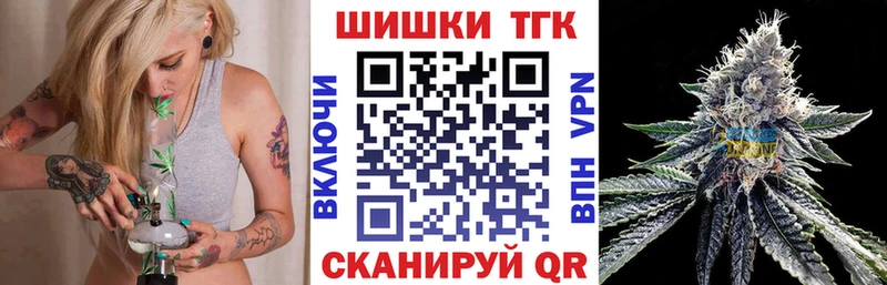 Конопля сатива  Куртамыш 